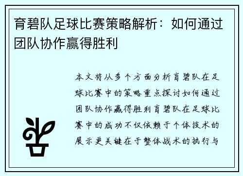 育碧队足球比赛策略解析：如何通过团队协作赢得胜利