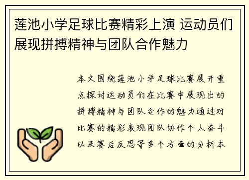 莲池小学足球比赛精彩上演 运动员们展现拼搏精神与团队合作魅力