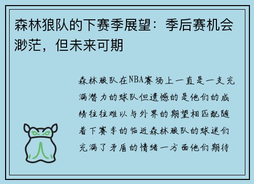 森林狼队的下赛季展望：季后赛机会渺茫，但未来可期