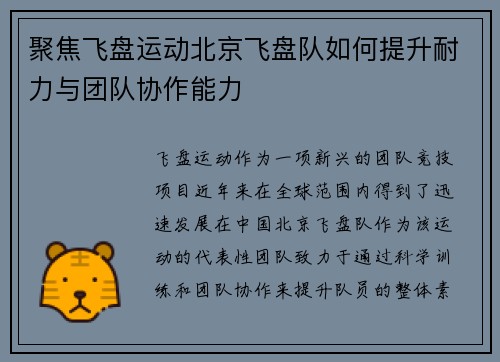聚焦飞盘运动北京飞盘队如何提升耐力与团队协作能力